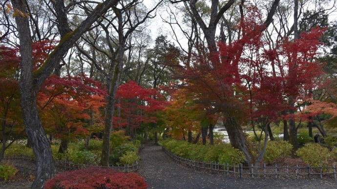 もみじ狩り 福島県郡山市喜久田 緑水苑(5)第二展望広場:狸山