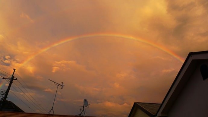 虹 : 台風の後の一瞬の日差しで！