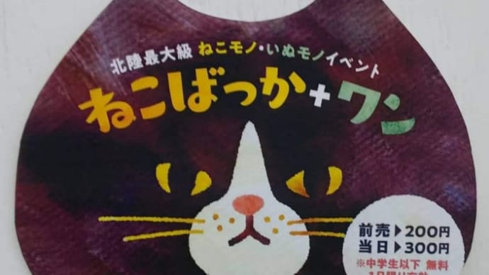 いよいよ「ねこばっか+ワン」🎵