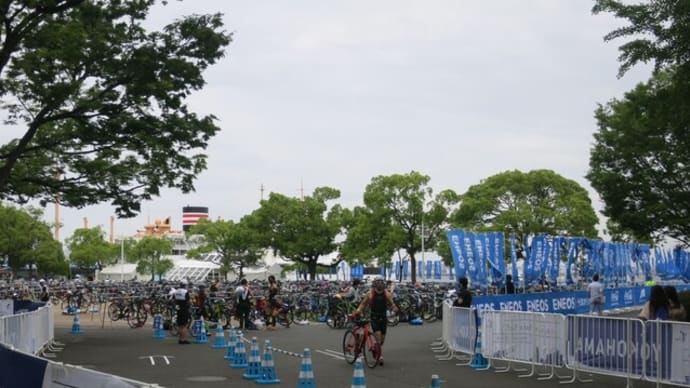 世界トライアスロンシリーズ横浜大会～エイジの部