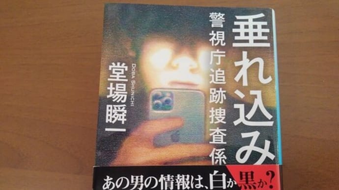 垂れ込み 堂場瞬一