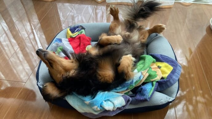 どう答えれば正解だったのか・・
