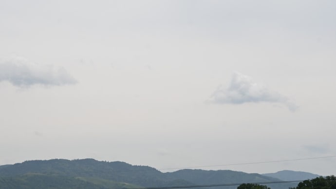 道明寺と道明寺粉