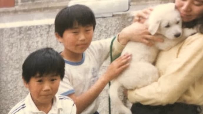 いぬは、弱くて、しつこいっ👎