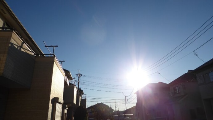 久し振りの蒸籠蒸し♪