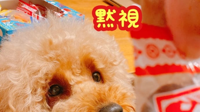 綺麗なポーズ 綺麗なキャメロン