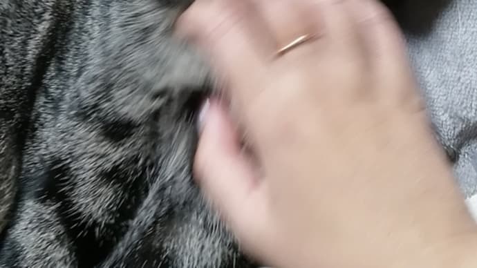 久しぶりのお膝~
