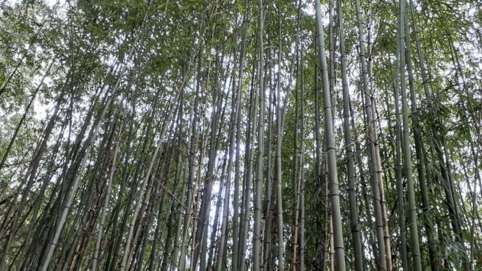自然農稲作教室 冬から初夏にむけての実習 2022年2月~5月