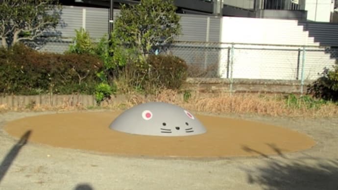 空一面の雲は
