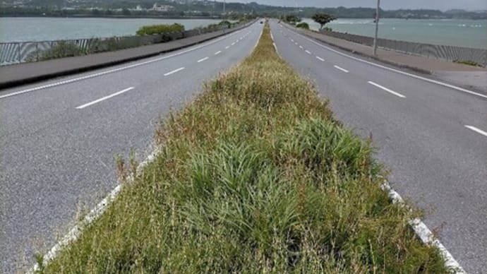 海中道路