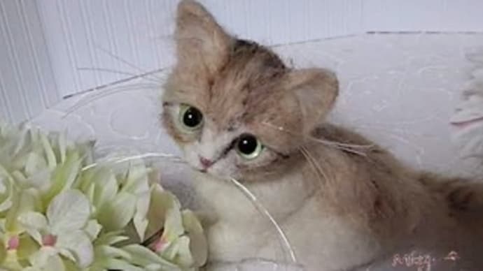 ちび猫ちゃん♪生まれました(*^^*)