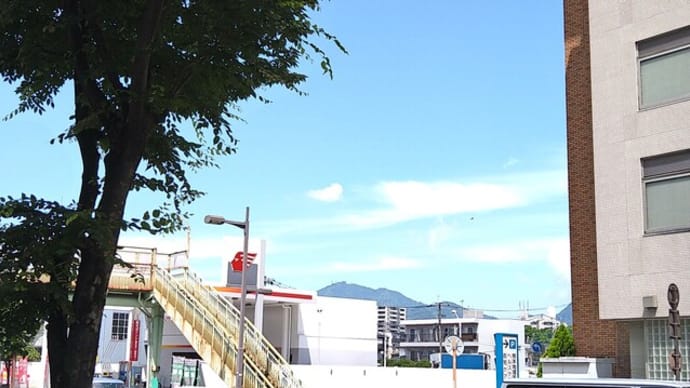 すっかり夏 来週あたり入梅?