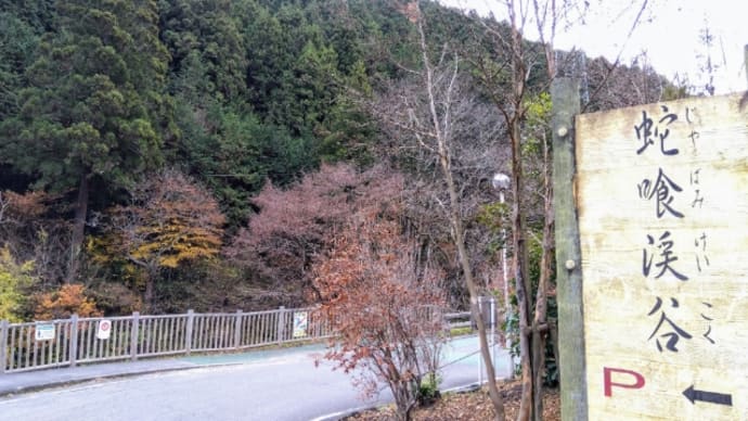 冬桜と藤岡温泉