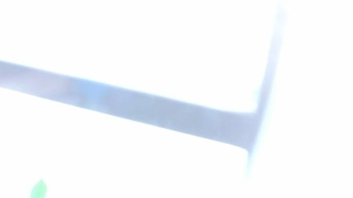 やはり指摘した通り適当に爆撃していたのか