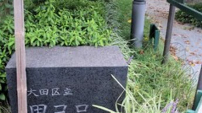 多摩川を歩く(その19)(丸子橋) 2022.9.9