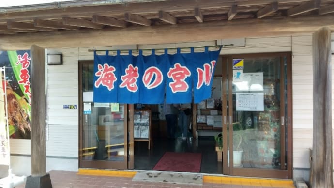 リサの夏休み☀️ 天草へ🦐