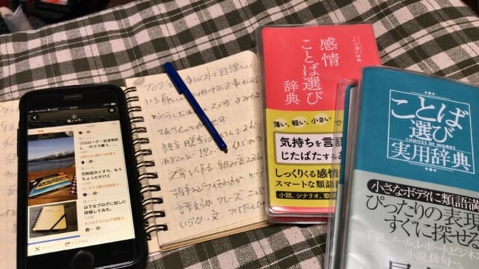 ブログ投稿添削の時