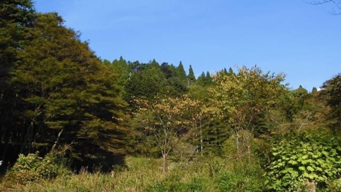 六甲高山植物園・・・2・六甲ミーツ・アート