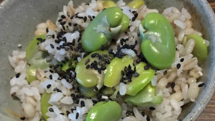ごはん・6月上旬