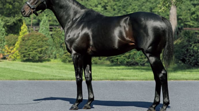 2020年追加募集馬の父、新種牡馬ロゴタイプとは?