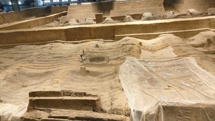 2023年3月28日 西安・成都旅行2日目-②
