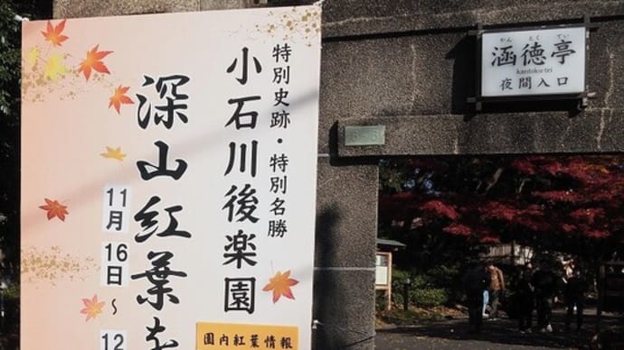 にしさんの花日記　紅葉　東京　小石川後楽園
