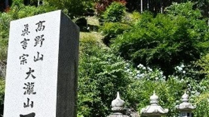 備前市 大瀧山 西法院 あじさい '22
