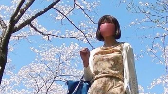 桜の回廊②
