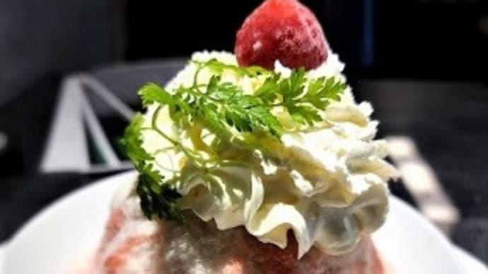 Leo 創作中華bar ‘担々麺 & あと戻りできないあまおうのかき氷’