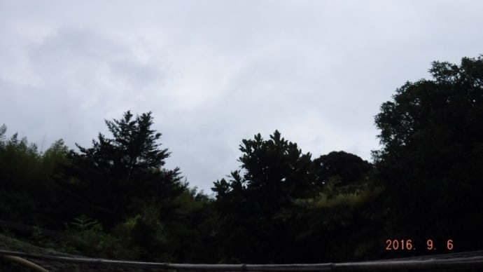 雨の里山