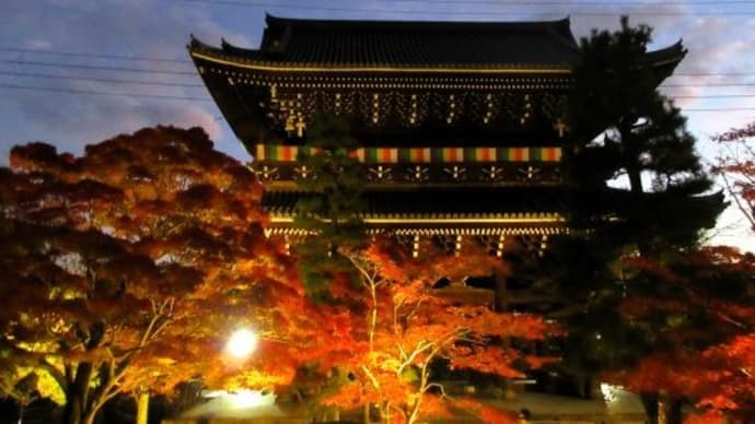 ☆金戒光明寺の紅葉ライトアップ。。