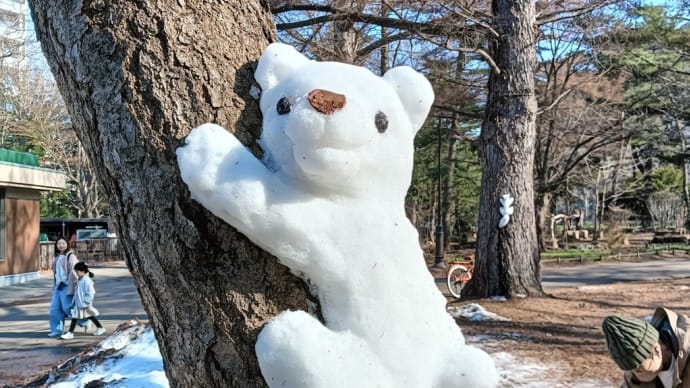 “札幌バンクシー”さんの《#ねばりにねばる雪クマと雪リス🐻🐿️❄️》と元気なリスたちと!~円山公園&北海道神宮散策~