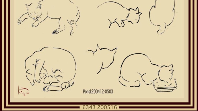 My cat Ponsk 6343/ポンスク(2004年12月〜5年3月)