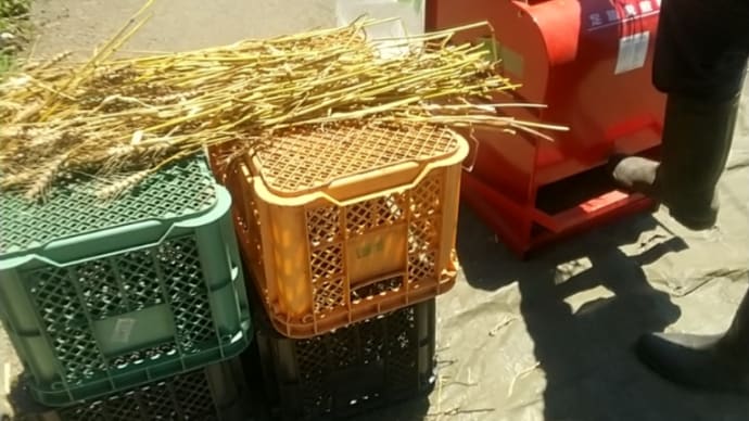 自給満足。