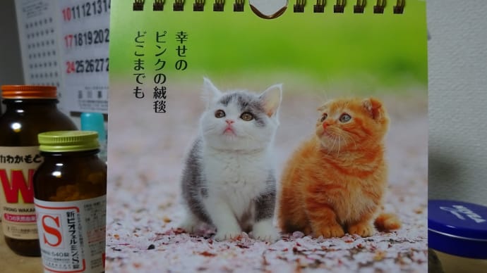 土佐の日本酒