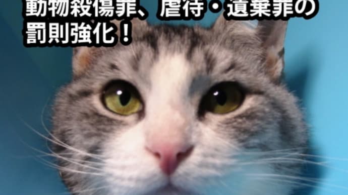 ハッシュタグ 地域猫対策 Goo Blog Gooブログ ハッシュタグ 地域猫対策 Goo Blog Gooブログ