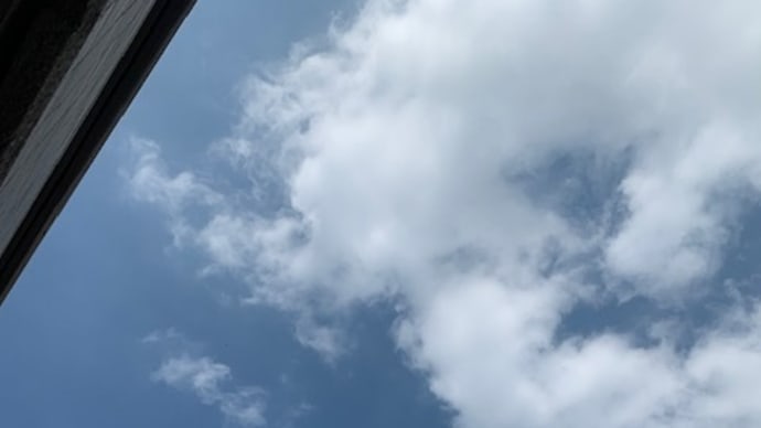 久しぶりの青空です。