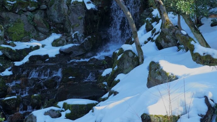 ●大雪の後の兼六園(2) 瓢池 翠滝 海石塔