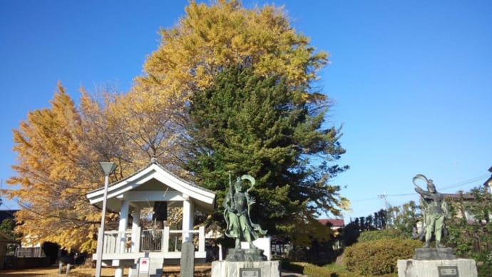 座間市・星谷寺のイチョウと谷戸山公園のオギ畑