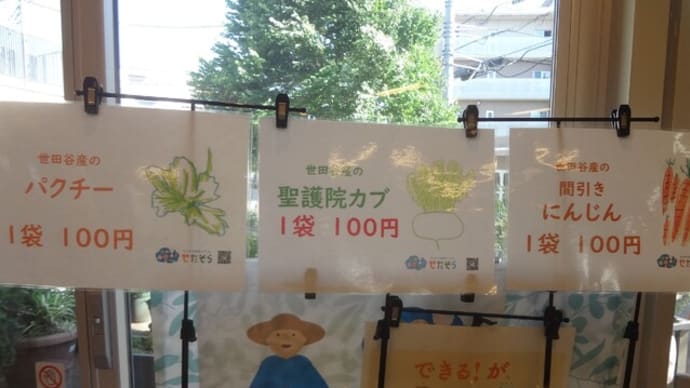 麻雀ボランティアでの驚き~展覧会の絵~せたそら野菜3種