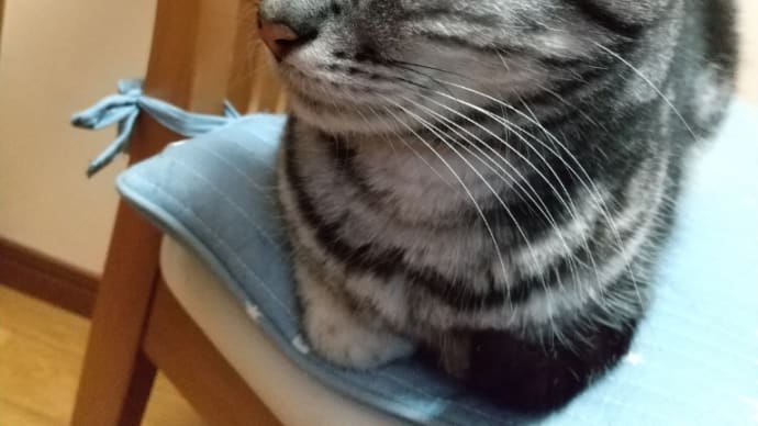 いつも誰が食べてるんだ。