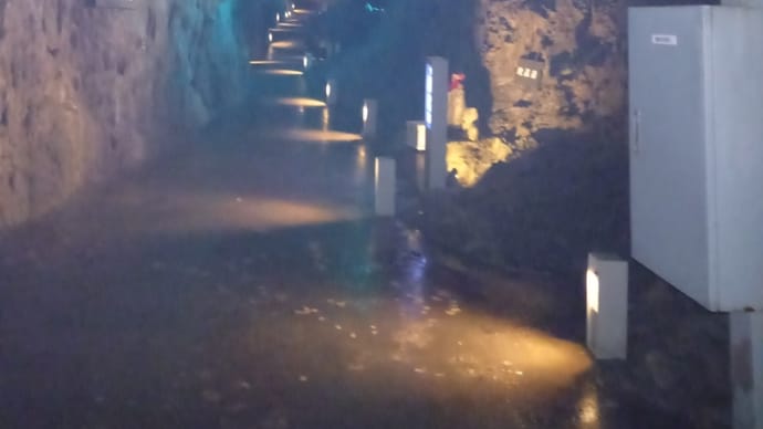 東北ツーリング7 岩手県浄土ケ浜~震災遺構~龍泉洞へ