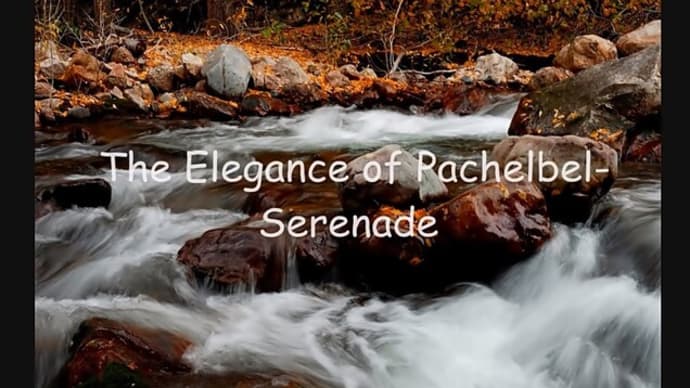 The Elegance of Pachelbel - Serenade - Micheal Maxwell