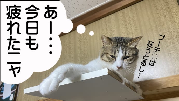 物思いに耽るなつ