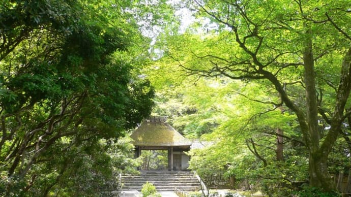 京都:哲学の道を散歩!