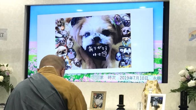 時ちゃんの供養とお祝いと