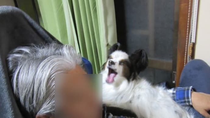 ぬくぬくお部屋でへそ天のまき~~♪