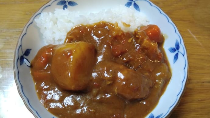 息子のリクエストの晩御飯 2024/11/07