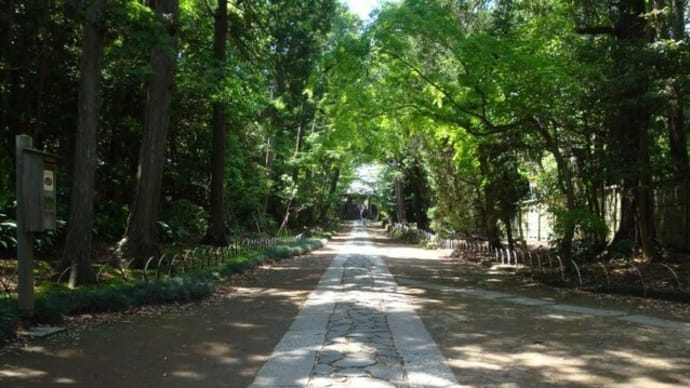 鎌倉「寿福寺」参道と人力車♪、(2025春)。