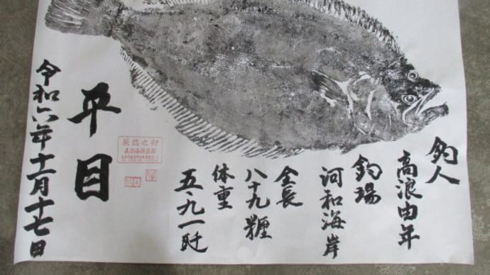 釣りは無理だったけど